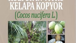 Kultur invitro kelapa kopyor cocos nucifera l penulis sukendah